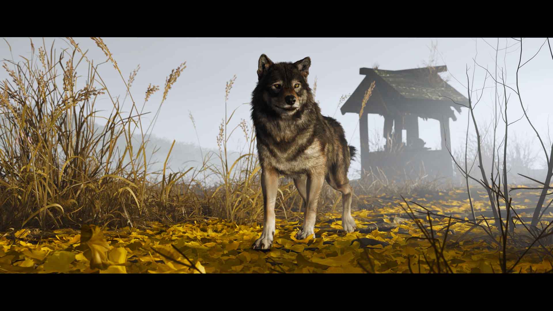 Ghost of Yotei Review